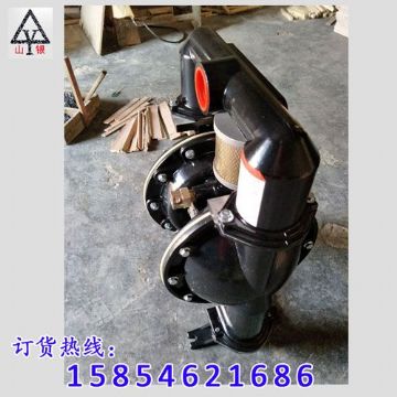 點擊查看詳細信息<br>標題：氣動隔膜泵著名品牌-氣動隔膜泵廠家 閱讀次數：1857