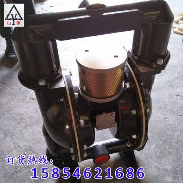 點擊查看詳細(xì)信息<br>標(biāo)題：氣動隔膜泵 閱讀次數(shù)：1740