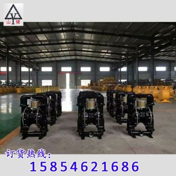 點擊查看詳細信息<br>標題：隔膜泵_氣動隔膜泵_隔膜泵價格_隔膜泵 閱讀次數：1743