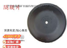 點(diǎn)擊查看詳細(xì)信息<br>標(biāo)題：氣動隔膜泵配件-隔膜片 閱讀次數(shù)：169