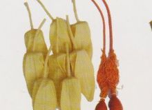 點(diǎn)擊查看詳細(xì)信息<br>標(biāo)題：取氣樣球膽 閱讀次數(shù)：70